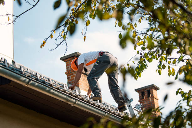 Roof Gutter Cleaning in Captain Cook, HI