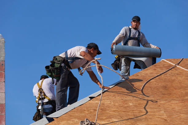 Best Commercial Roof Installation  in Captain Cook, HI