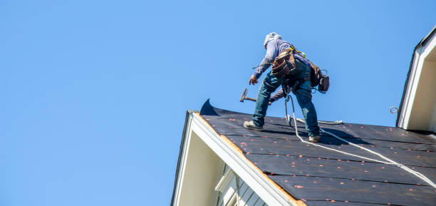 Best Local Roofing Companies  in Captain Cook, HI